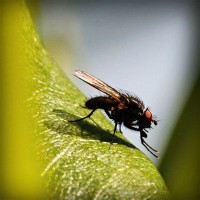 /album/compania-grafico-de-puebla/photolia-a04-jpg/