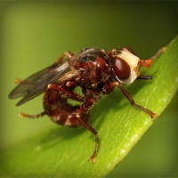 /album/compania-grafico-de-puebla/photolia-a06-jpg/