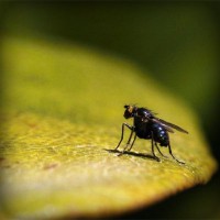 /album/compania-grafico-de-puebla/photolia-a07-jpg/